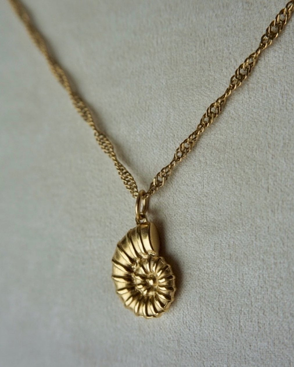 ZIGGY CHAIN