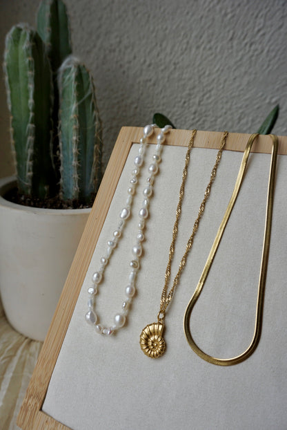 ZIGGY CHAIN
