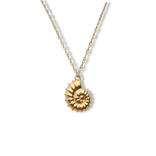 ZIGGY CHAIN